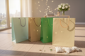 20 Grands Sacs-Cadeaux Coton 31x24cm – Nuances Vertes & Sable