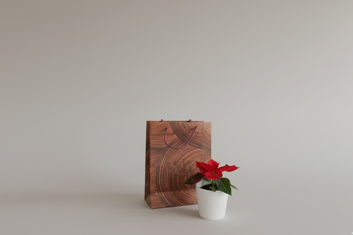 Lot de 20 Sacs-Cadeaux Premium – Couleurs Festives & Lumineuses (200 GSM) 19,5 cm (H) x 15 cm (L) x 6,5 cm (P)