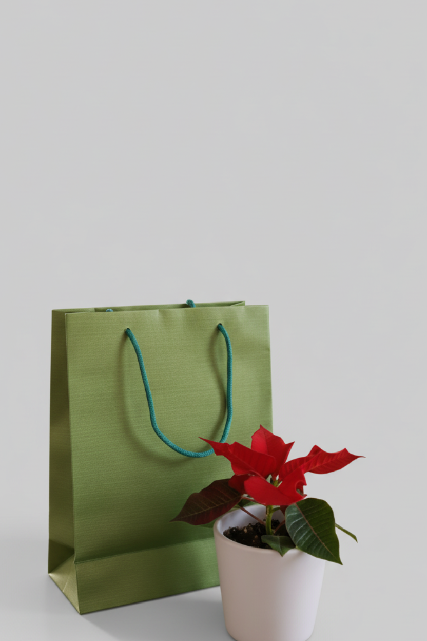 Lot de 20 Sacs-Cadeaux Premium – Papier Coton Artisanal (200 GSM) 19,5 cm (H) x 15 cm (L) x 6,5 cm (P)