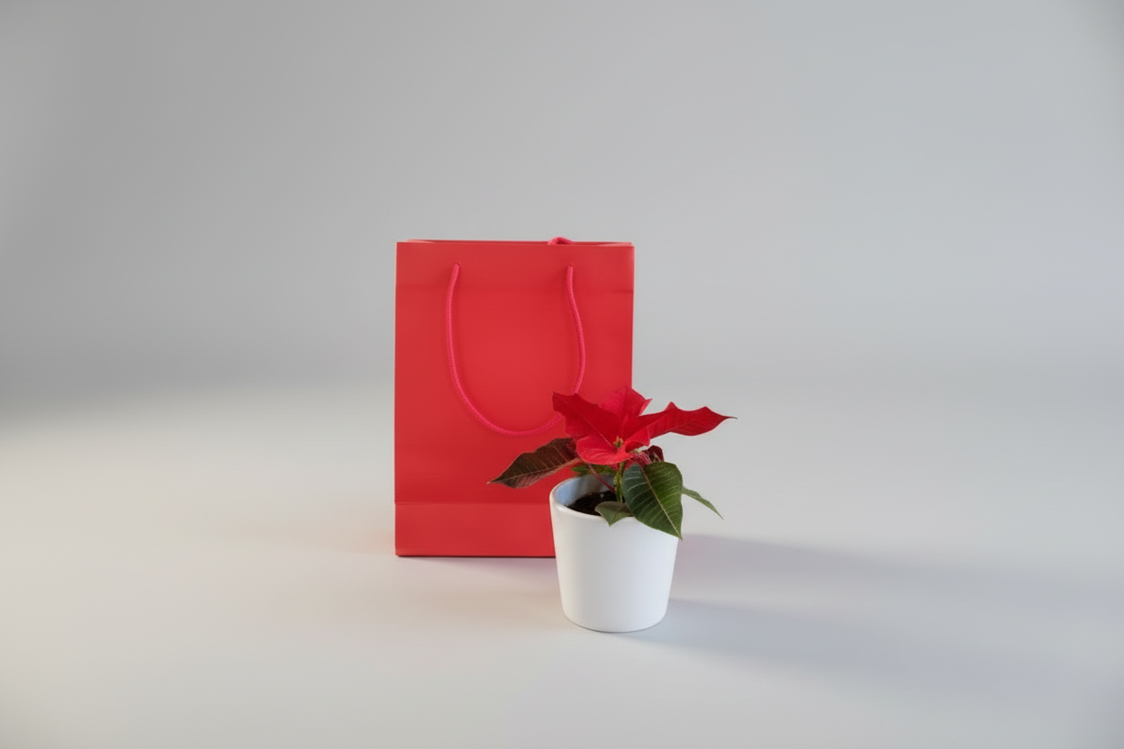 Lot de 20 Sacs-Cadeaux Premium – Papier Coton Artisanal (200 GSM) 19,5 cm (H) x 15 cm (L) x 6,5 cm (P)